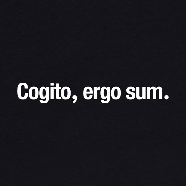 Cogito, ergo sum. by TheAllGoodCompany